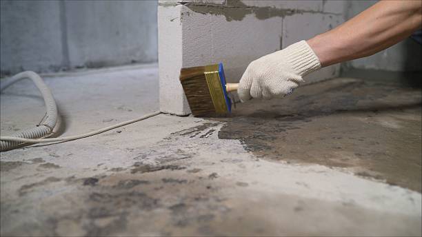 24/7 Emergency Waterproofing experts in Williamsport, TN